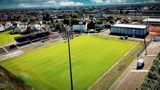 三天连宣+全线进补！申花飞赴海口启动新赛季.