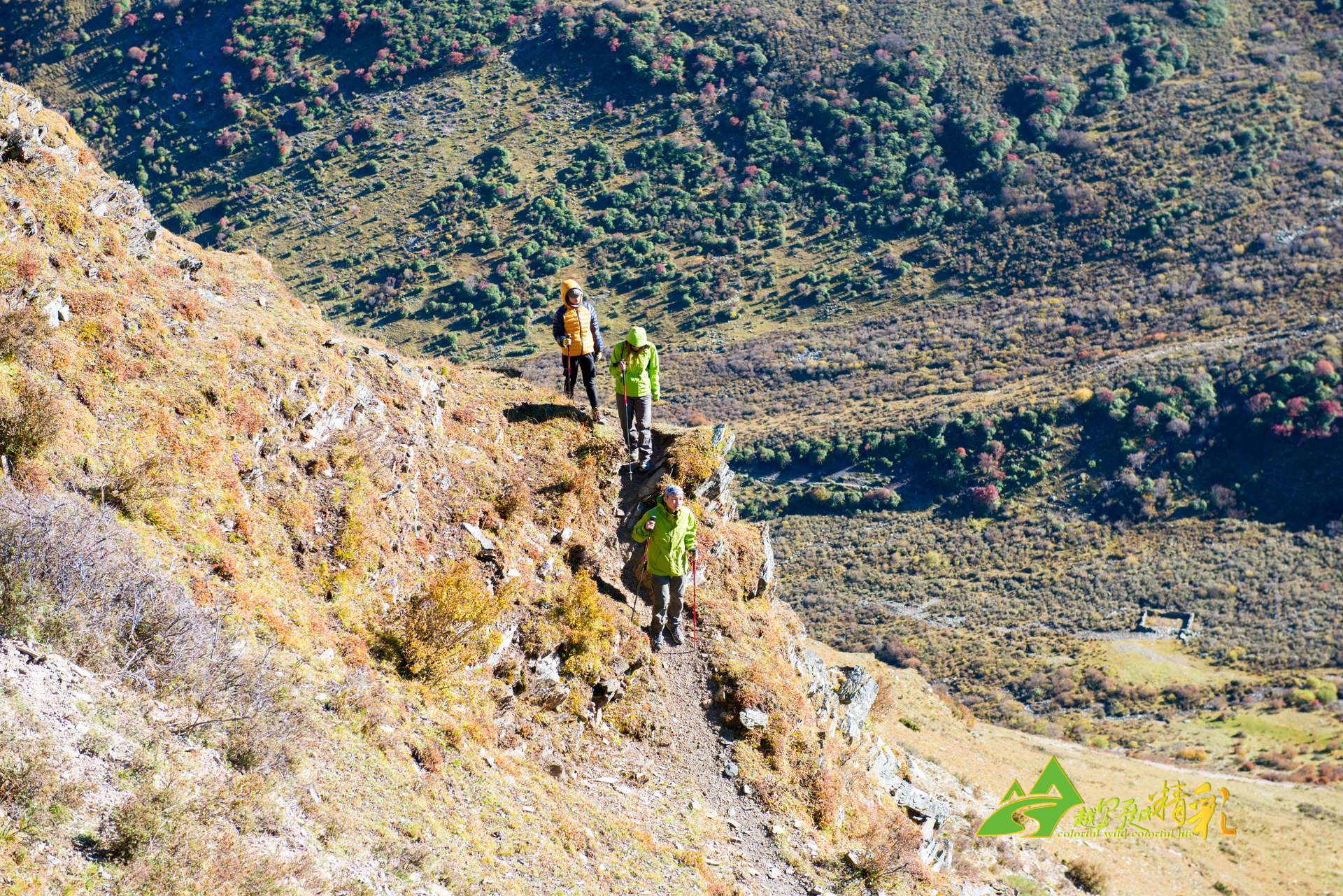 战术支持和 战术支持和