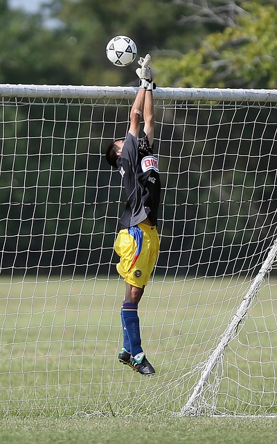 的球员提供 的球员提供