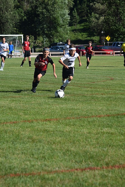 林诗栋3比1战胜陈垣宇 晋级亚洲杯八强.